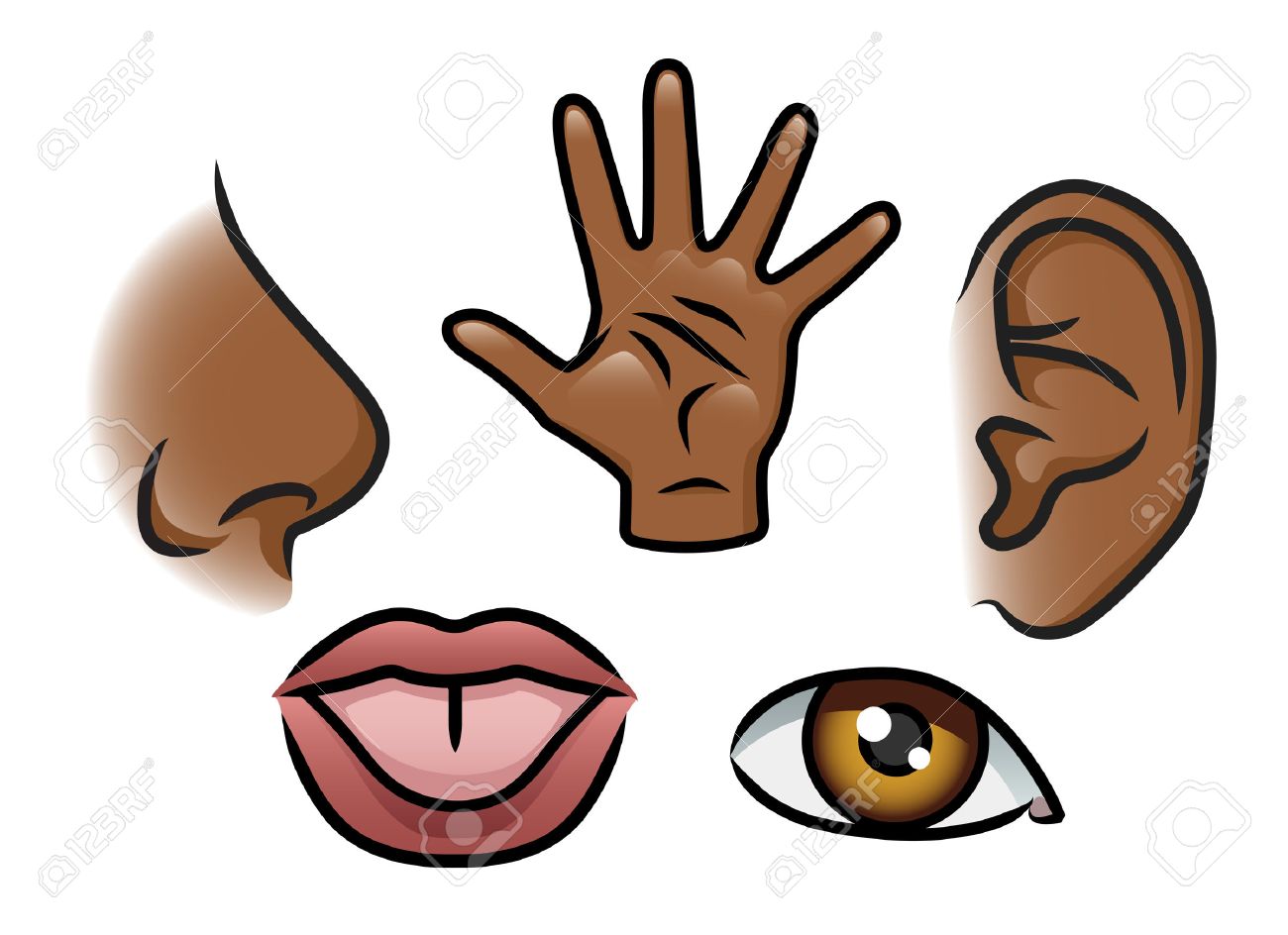 5 を描いた漫画イラスト感覚におい タッチ 聴覚 味覚と視覚のイラスト素材 ベクタ Image