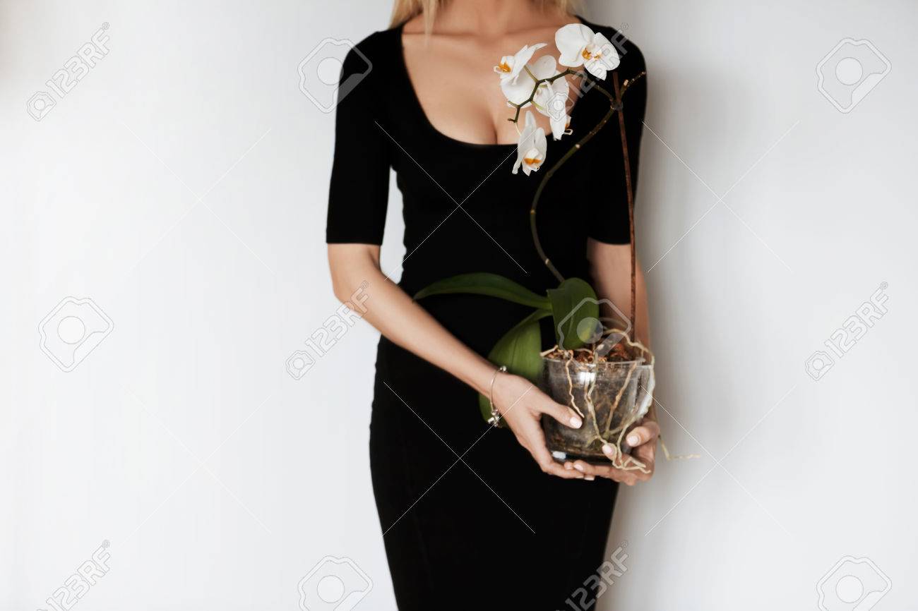 elegant black midi dress