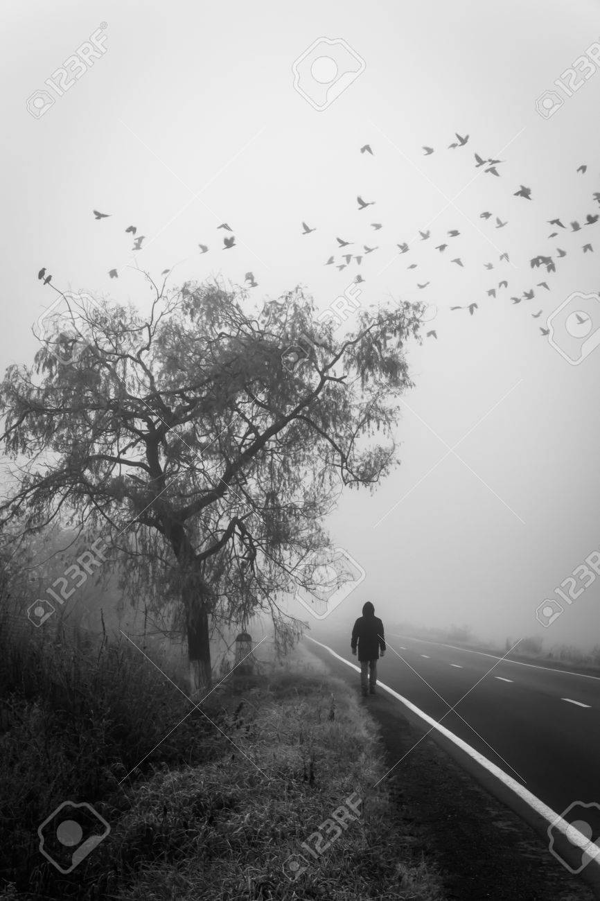 El Hombre Que Pasa Debajo De Un árbol En La Niebla, Pájaros Volando. El  Enfoque Suave Y El Movimiento Borroso Subrayan El Concepto De Fallecer.  Fotos, Retratos, Imágenes Y Fotografía De Archivo