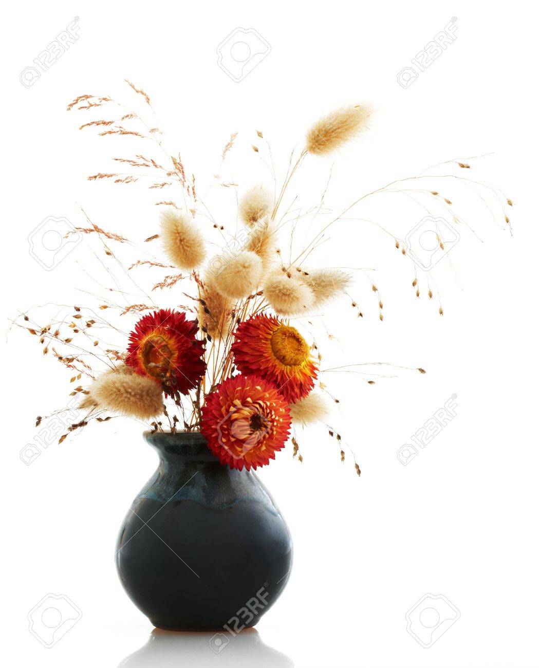 白い背景の上の生け花 の写真素材 画像素材 Image