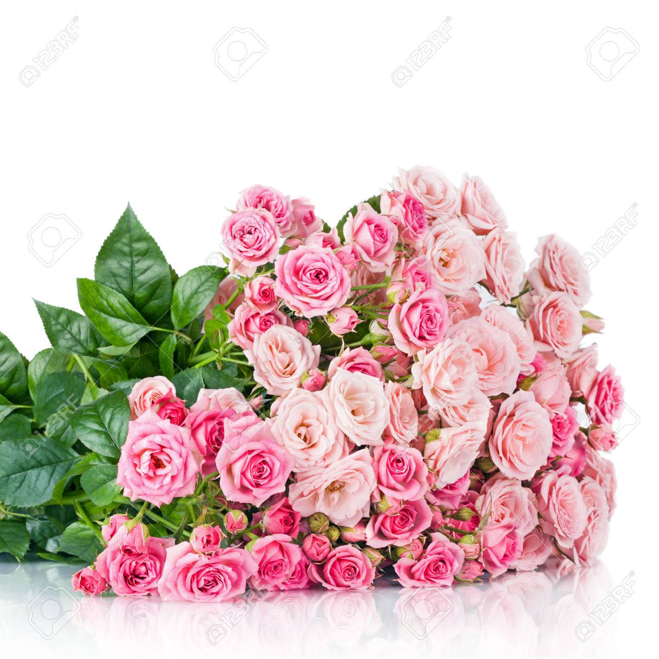 大きなピンクのバラの花束の花 の写真素材 画像素材 Image