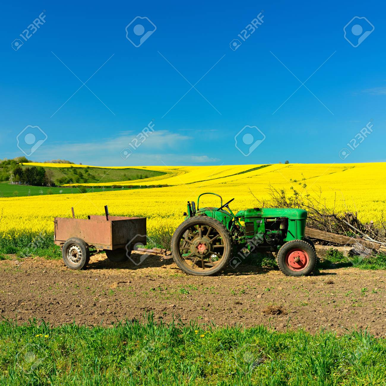 spring landscape old vintage tractors and fields of rapeseed