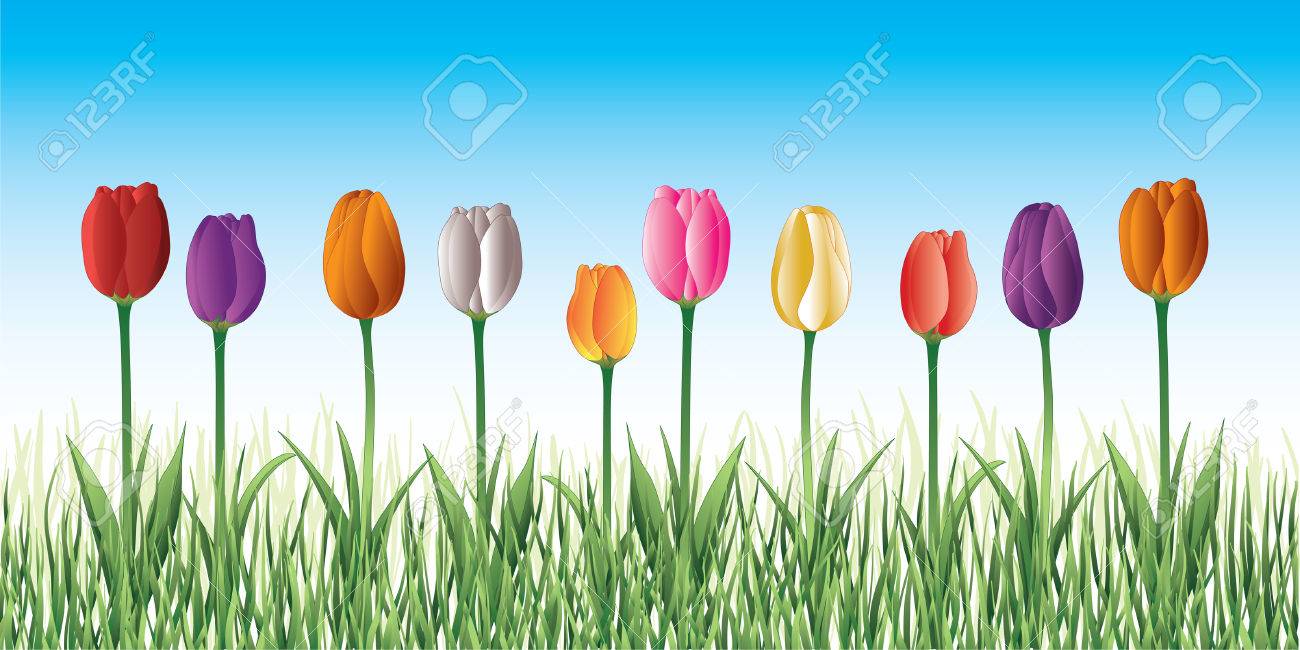 チューリップの芝生は草と青空の背景と異なる色で 10 チューリップのイラストのイラスト素材 ベクタ Image
