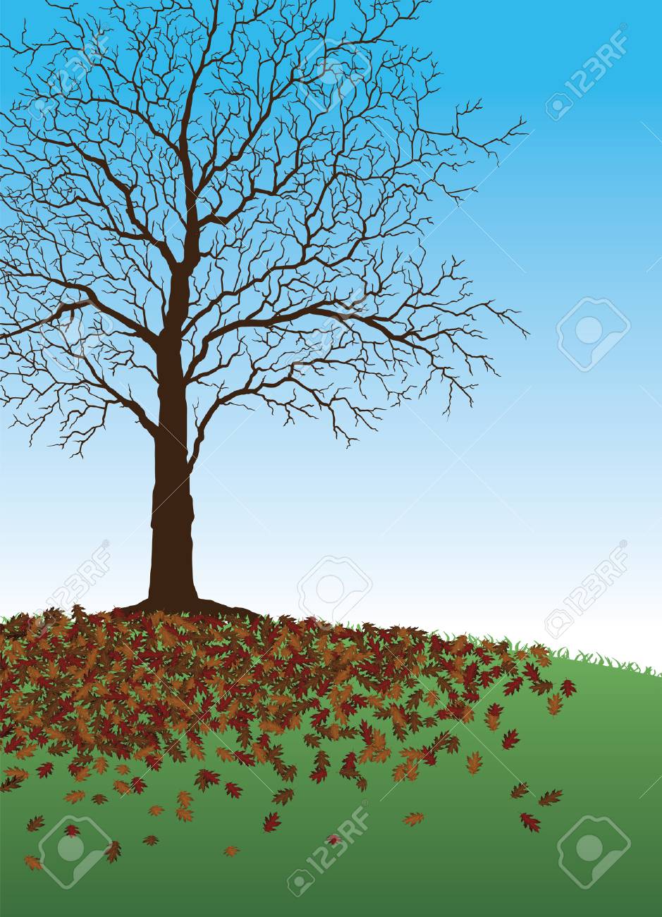 Tree With Fallen Leaves Is A Fall Or Autumn Illustration Of A Beautiful Tree  Where All Of It's Leaves Have Fallen Around It. There Is Also Green Grass  And A Blue Sky, image size:939x1300