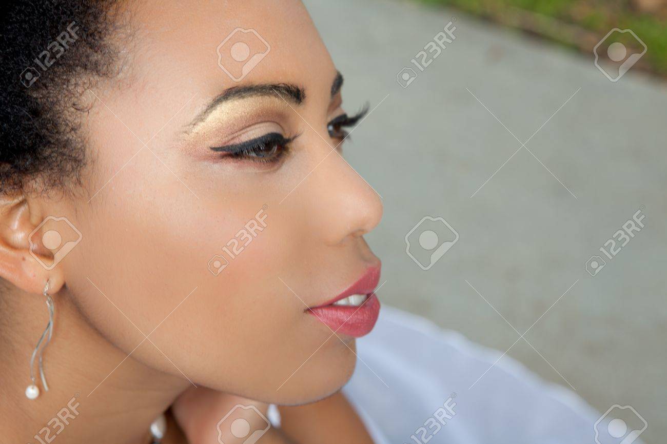 アフリカ系アメリカ人の美人のプロファイル の写真素材 画像素材 Image