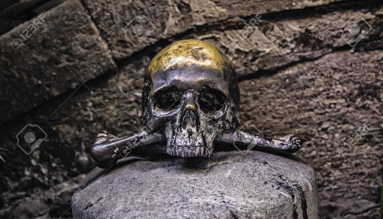 etiam-dictum-ipsum-a-felis