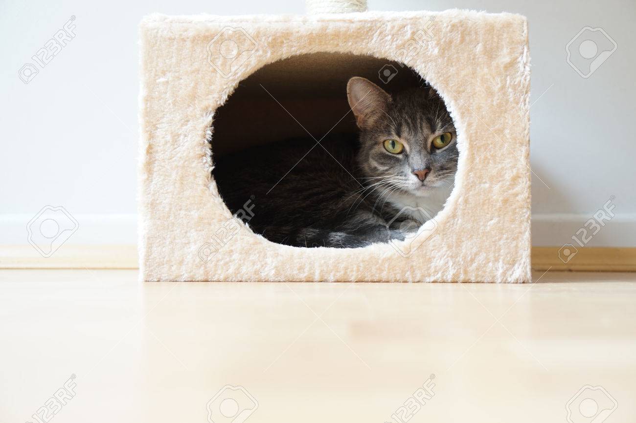 cat hideaway box
