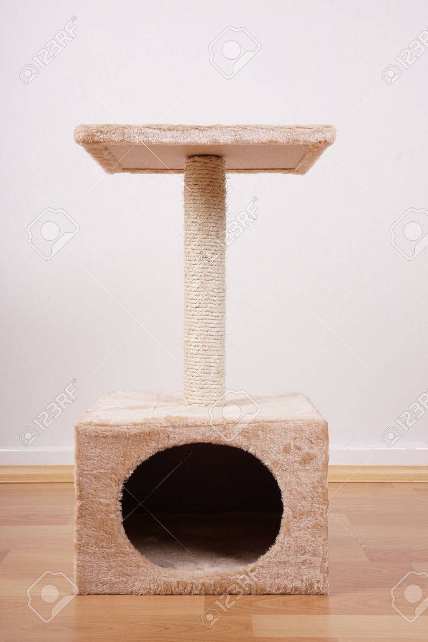 small cat stand