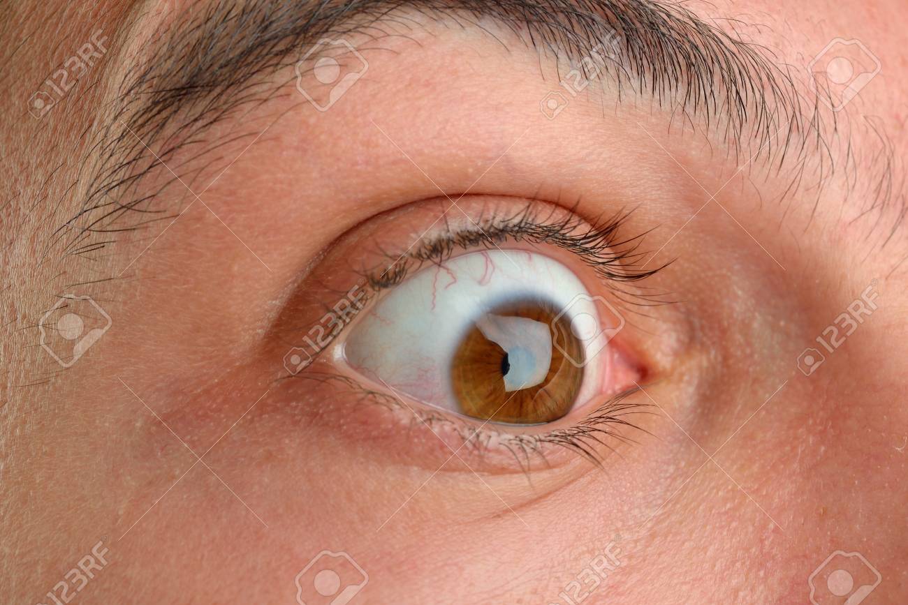 茶色の人間の目の画像を閉じます 長いまつげと若い男 の写真素材 画像素材 Image