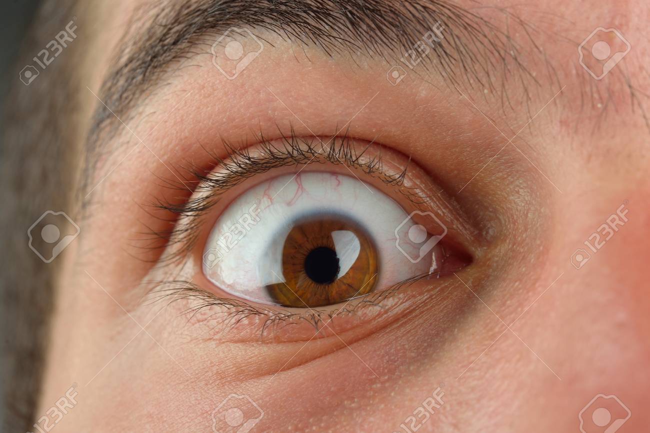 茶色の人間の目の画像を閉じます 長いまつげと若い男 の写真素材 画像素材 Image