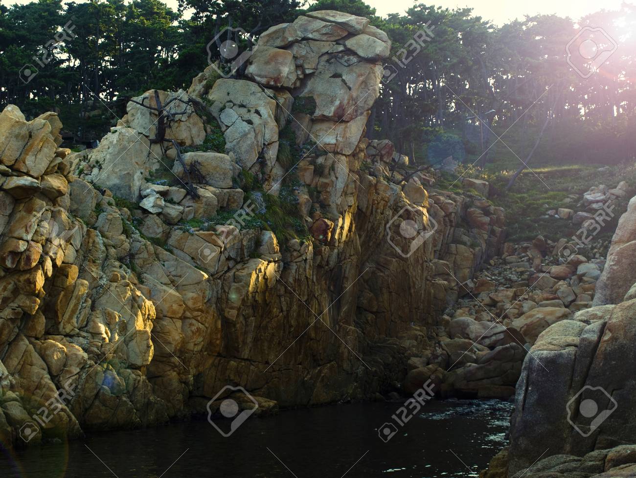 etiam-dictum-ipsum-a-felis