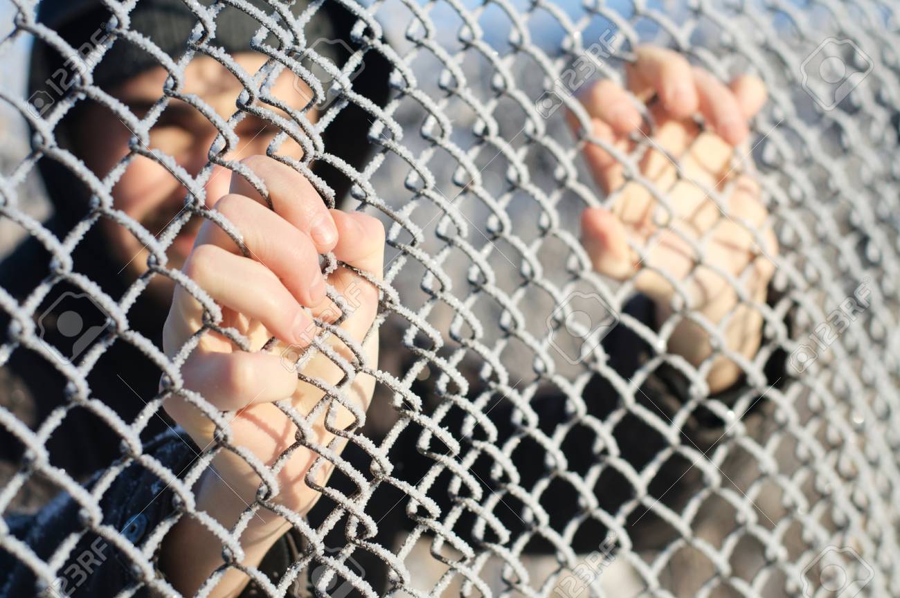 etiam-dictum-ipsum-a-felis