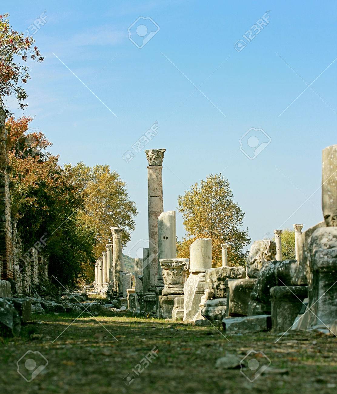 etiam-dictum-ipsum-a-felis