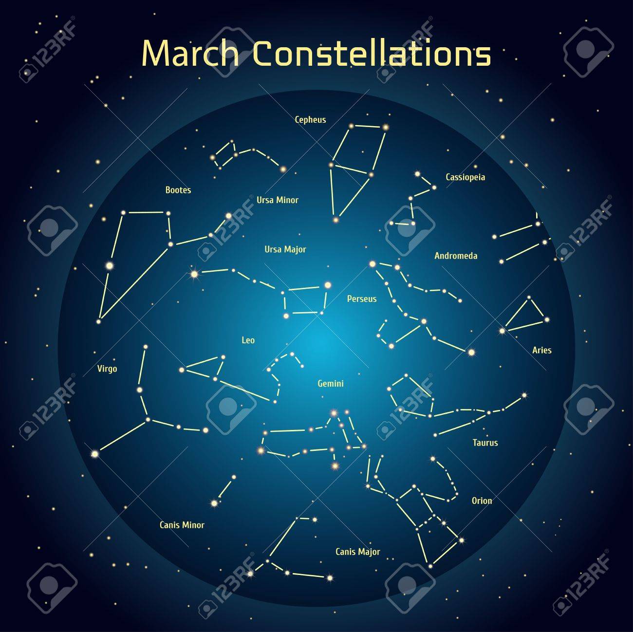 vector illustration of the