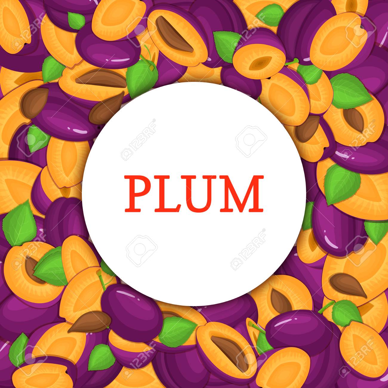 熟したプラムの背景に丸い白いフレーム ベクトル カード イラスト 美味しい新鮮でジューシー 皮をむいた 梅全体の部分半分 スライスの葉 種子 食欲をそそる食べ物の包装デザインを探して のイラスト素材 ベクタ Image