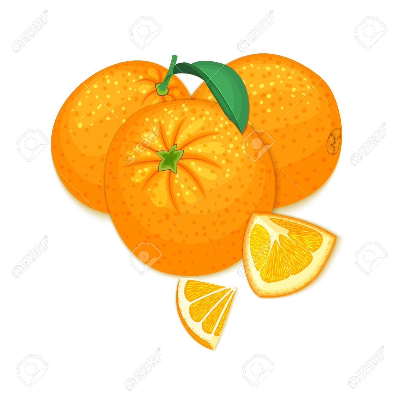 vector composition of a