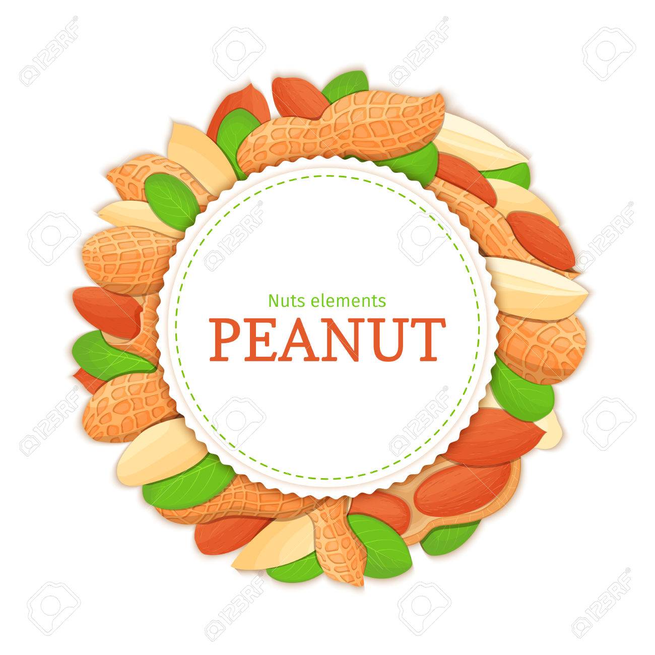 丸い白いフレームは ピーナッツのナットで構成されます ベクトル カード イラスト サークル ナット フレーム シェル 全体で落花生のフルーツの殻 葉健康食品のパッケージ デザインを探して食欲をそそる のイラスト素材 ベクタ Image