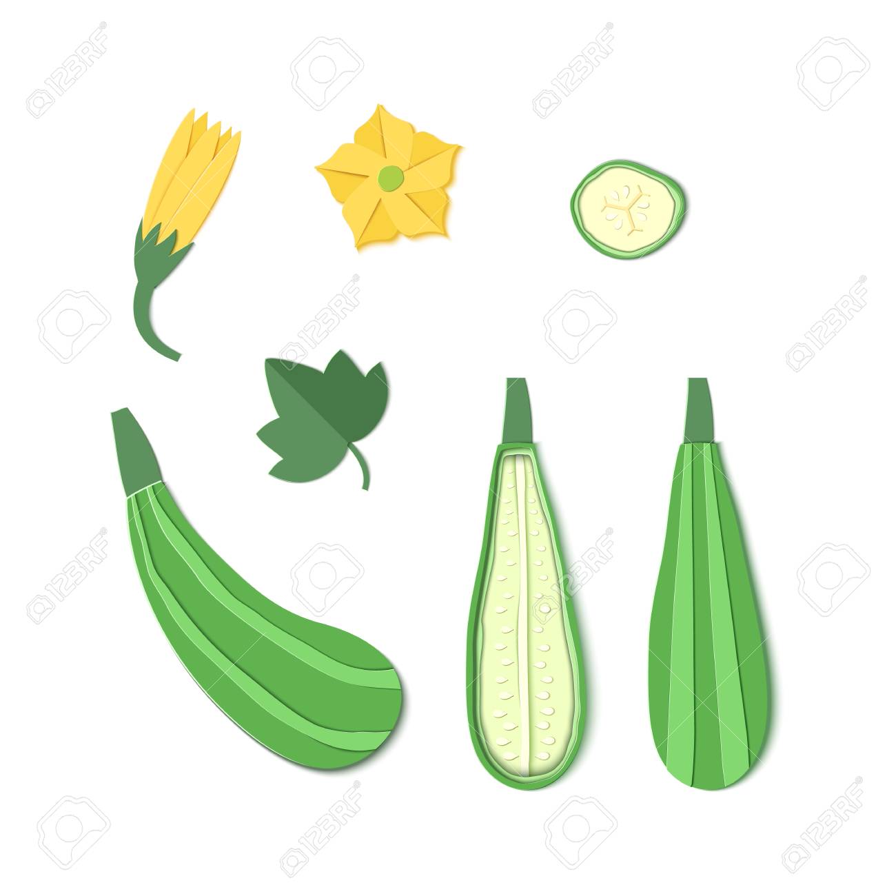 紙切りズッキーニのセット 折り紙スカッシュ全体 作品 スライス 野菜の骨髄の葉と花のコレクション ベクトルカードのイラスト 紙のアートスタイルでクールゲット有機成分を収穫 のイラスト素材 ベクタ Image