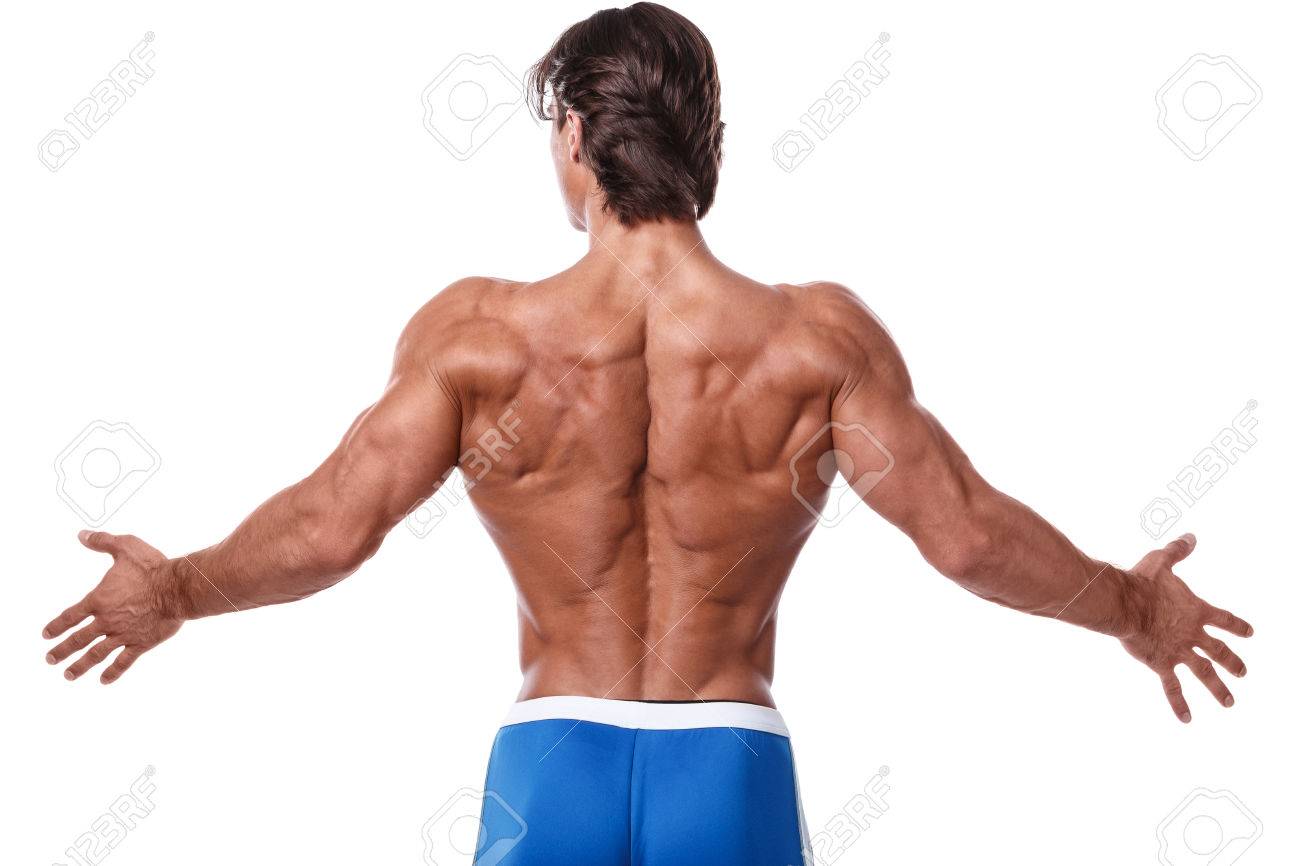 白い背景の上の筋肉背中を見せる の写真素材 画像素材 Image