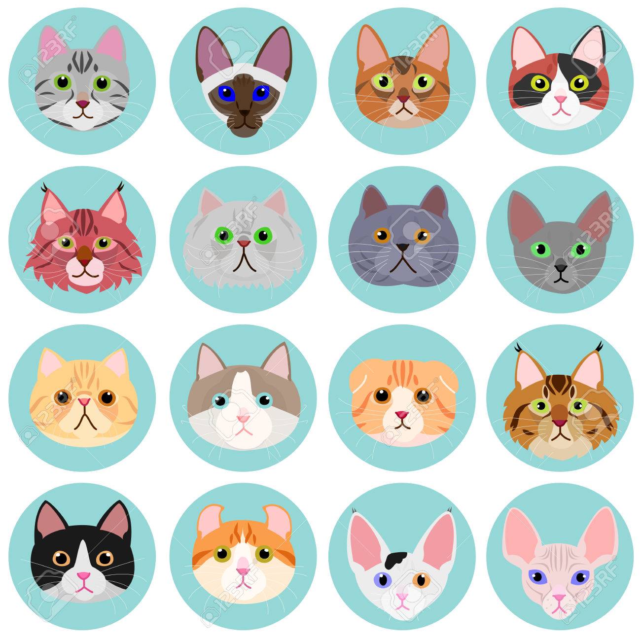 Visage De Chat Regle Avec Le Cercle Clip Art Libres De Droits Vecteurs Et Illustration Image