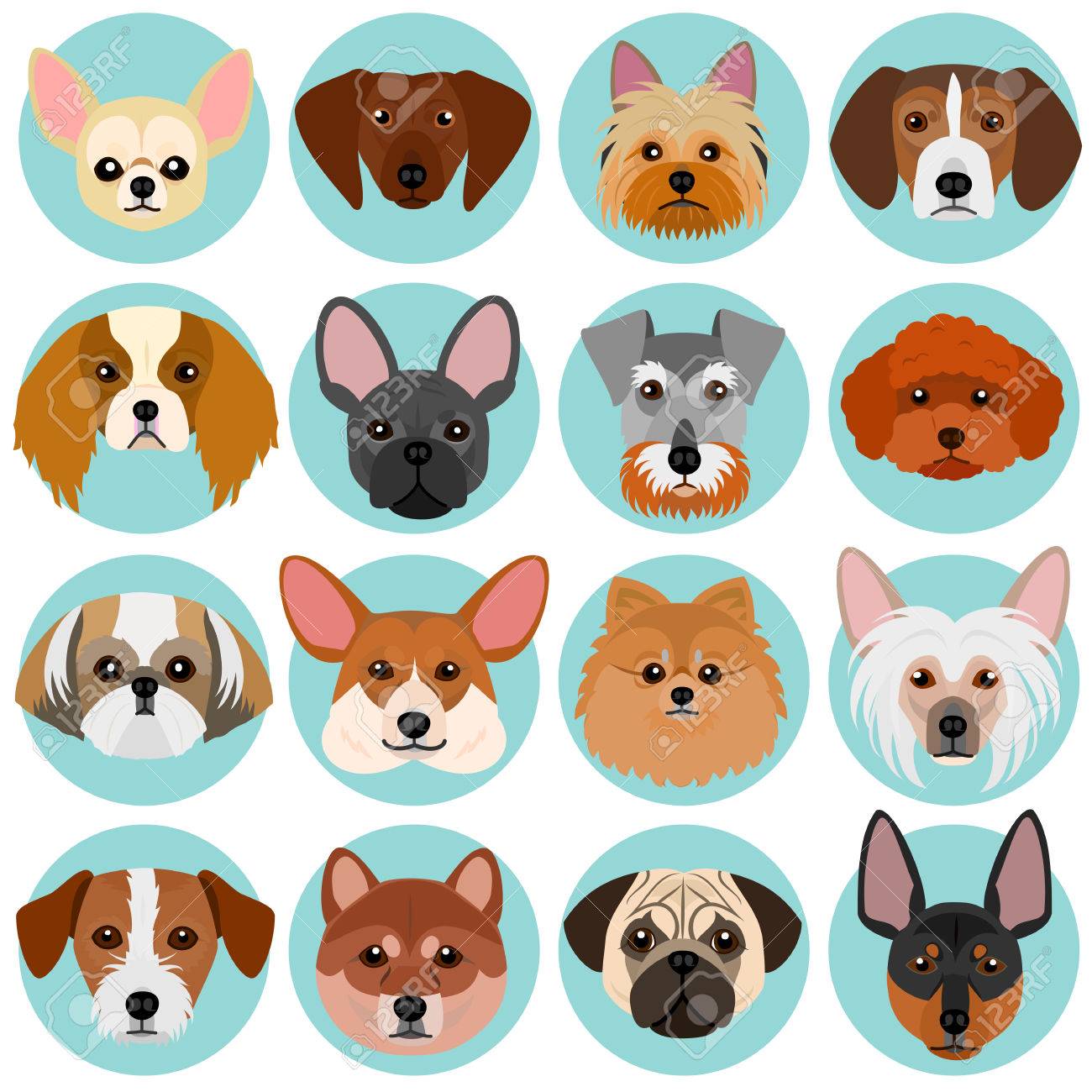 Small Dog Faces Set With Circle Royalty Free Cliparts Vectors And Stock Illustration Image Small Dog Faces Set With Circle Royalty Free Cliparts Vectors And Stock Illustration Image