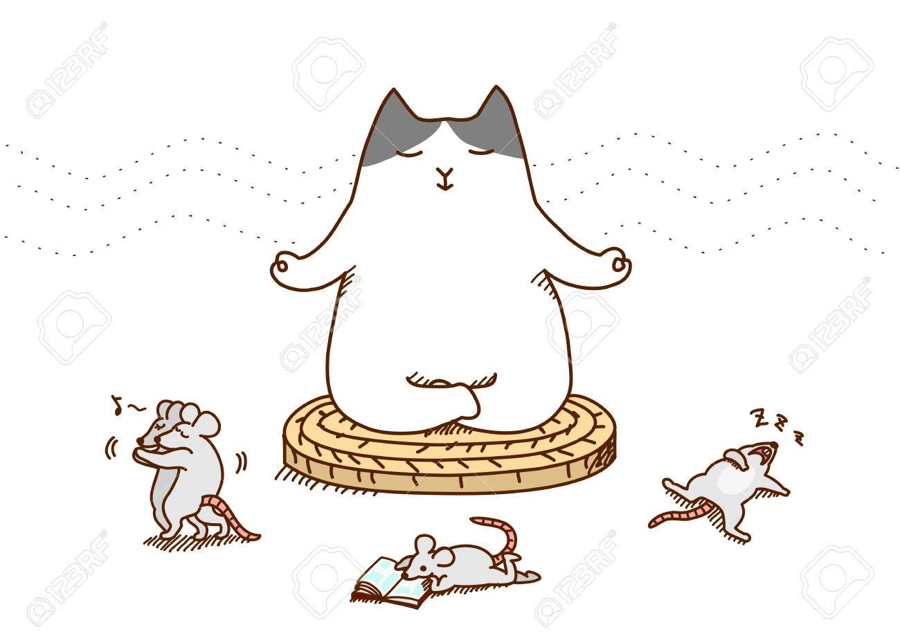 Коты на дзене. Котята в коробке. Умиротворенные коты. Японский кот широнеко. Кошка медитирует.