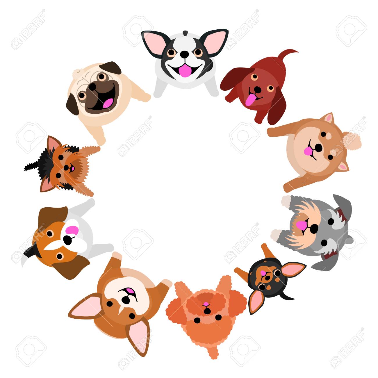 円の形成で見上げる異なる小さな犬のイラスト のイラスト素材 ベクタ Image