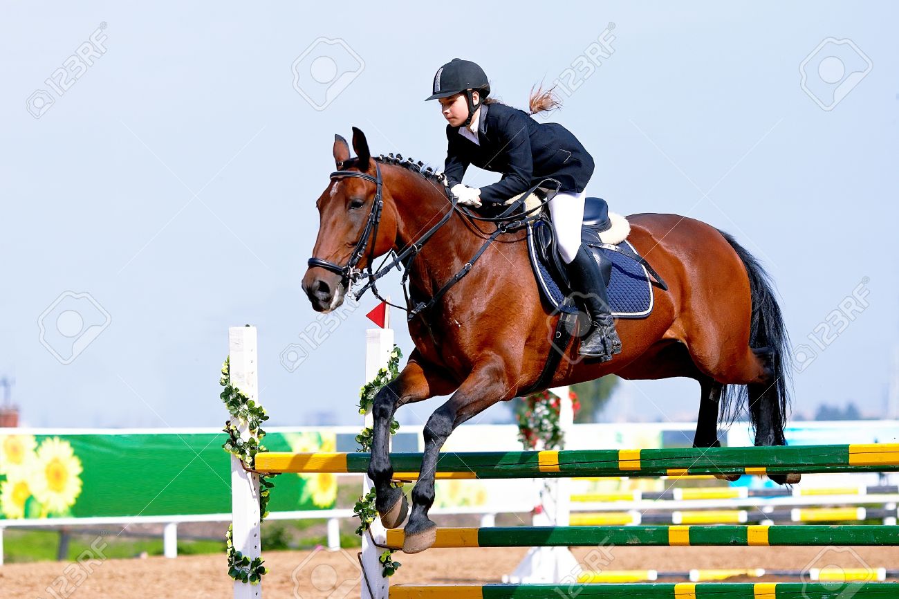 Le Sport Équestre. Saut D'obstacles. Surmonter Un Obstacle. Le Sportive Sur  Un Cheval. L'e Sur Un Cheval Rouge. Équitation. Equitation. Les  Courses De Chevaux. Cavalier Sur Un Cheval. Banque D'Images et Photos