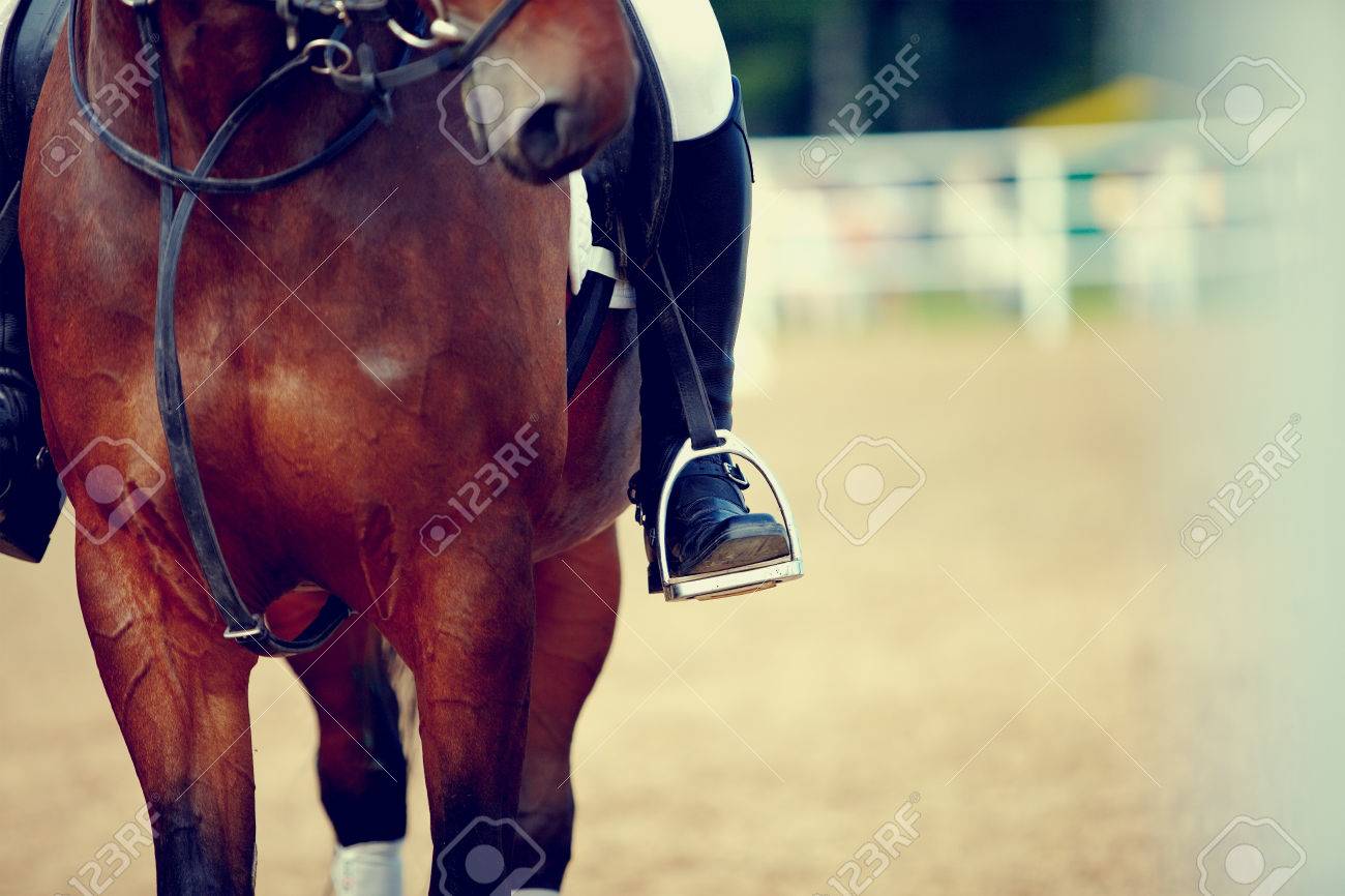 foot of the athlete in a stirrup astride a horse banco de imagens