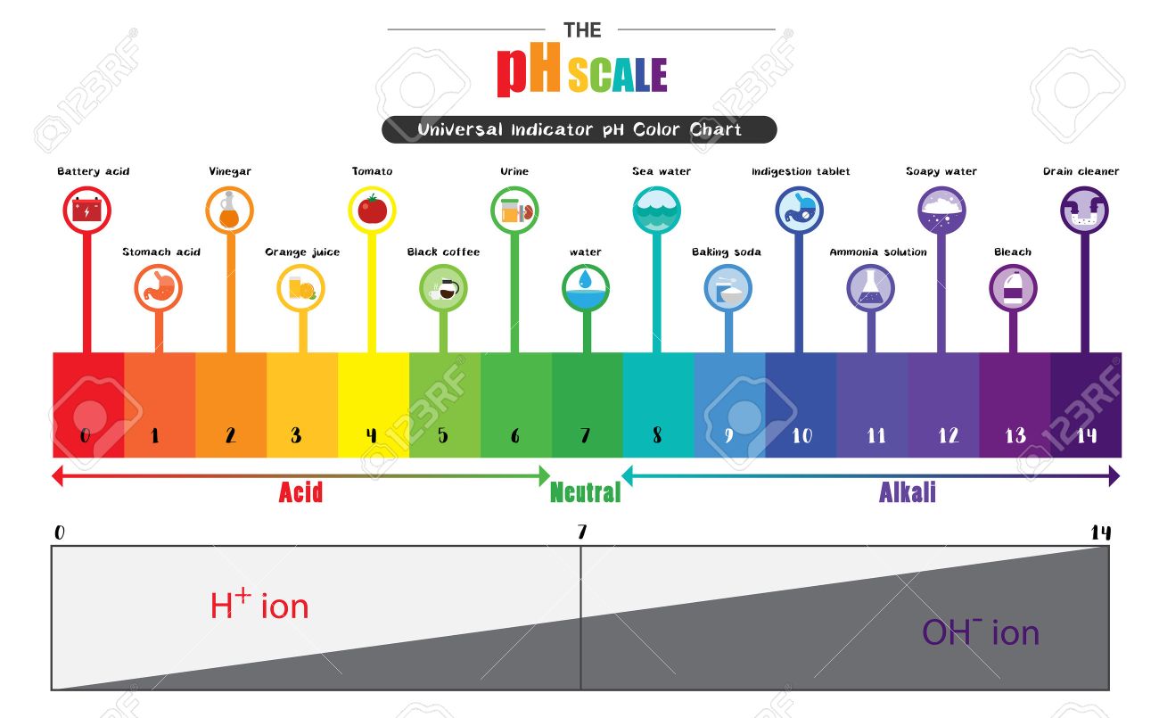 ph scale