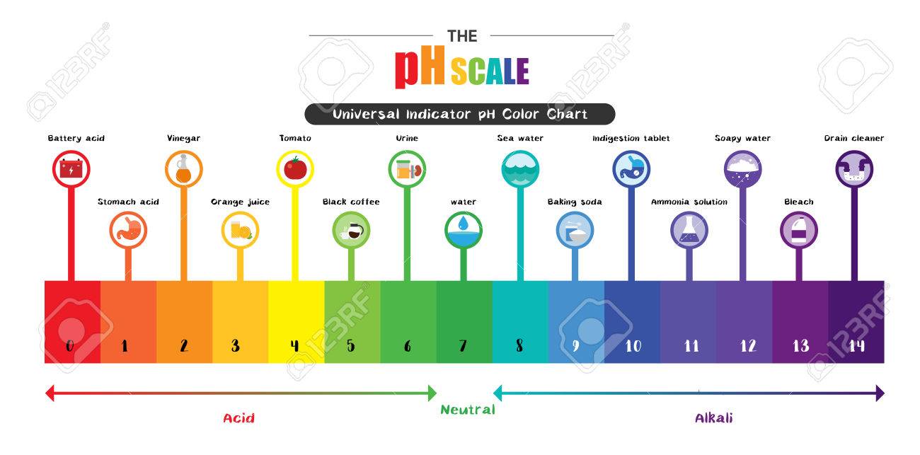 Acid Alkaline Soil Chart