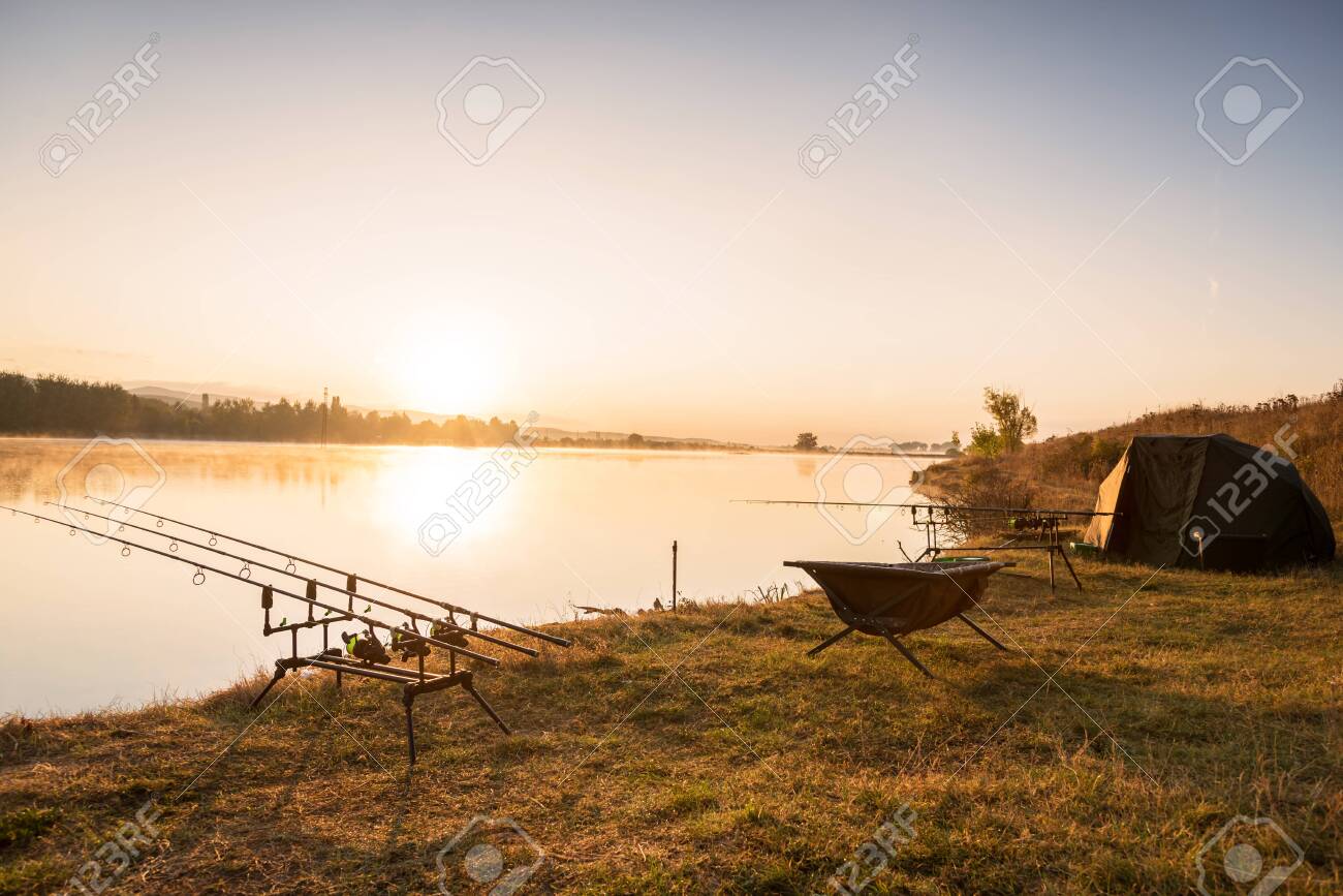 Fishing adventures, carp fishing. - 131527283 Fishing adventures, carp fishing. - 131527283