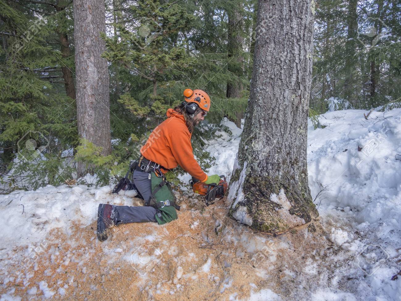 etiam-dictum-ipsum-a-felis