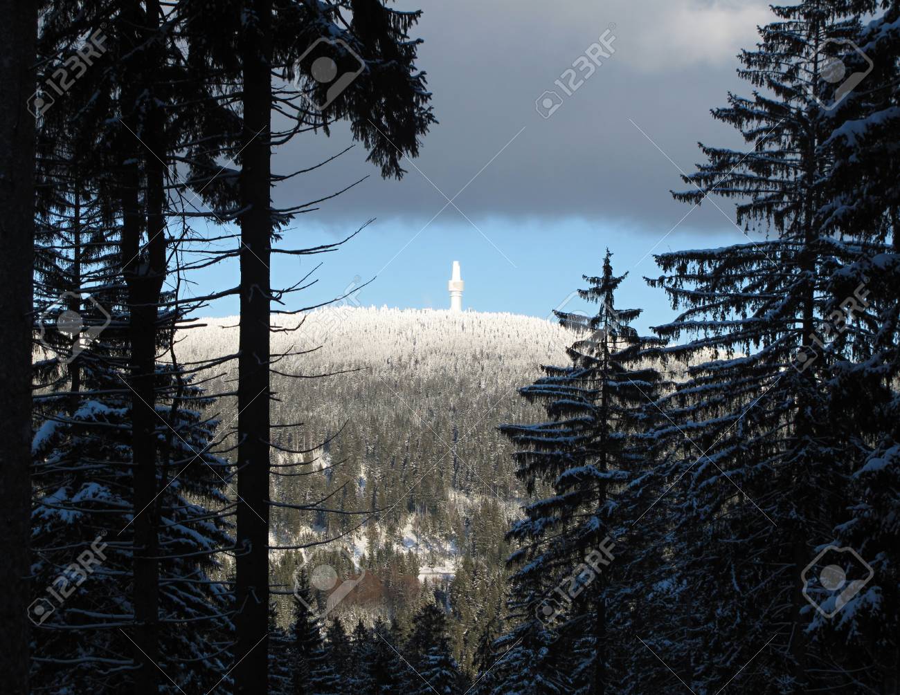 etiam-dictum-ipsum-a-felis