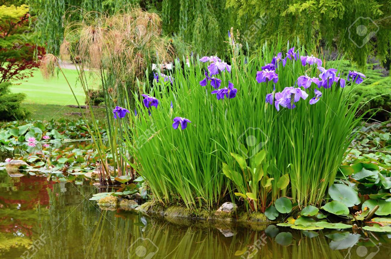 Ubbink Iris Estanque para jardines