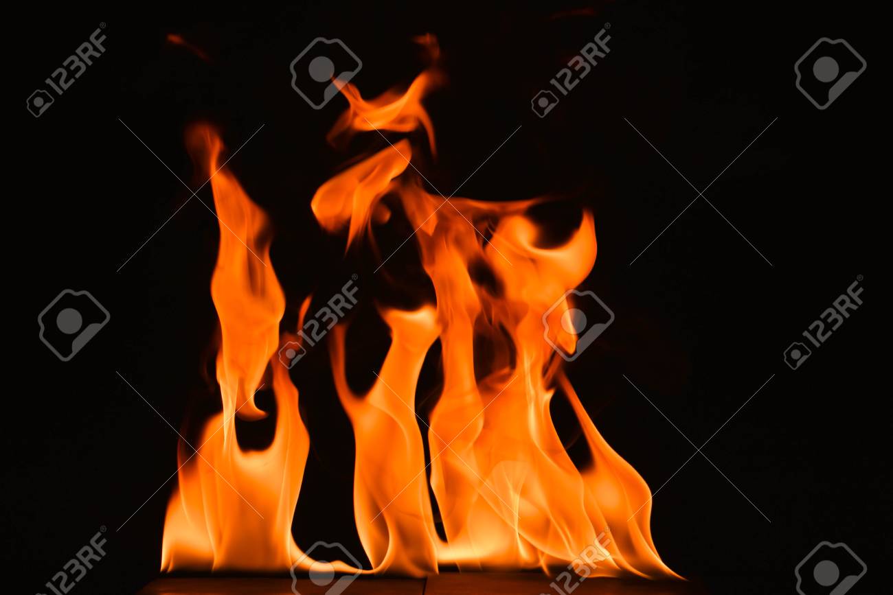 etiam-dictum-ipsum-a-felis