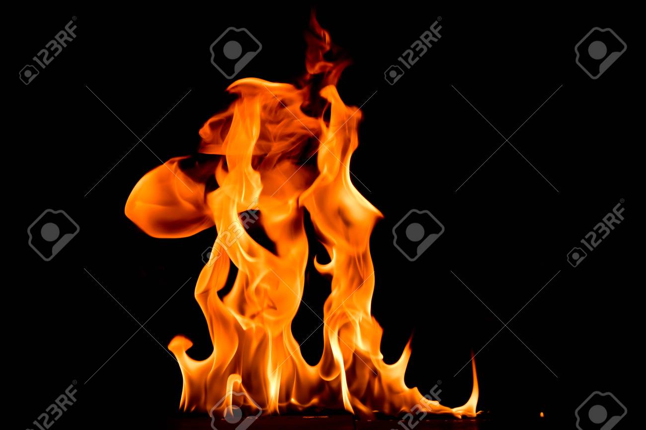 etiam-dictum-ipsum-a-felis