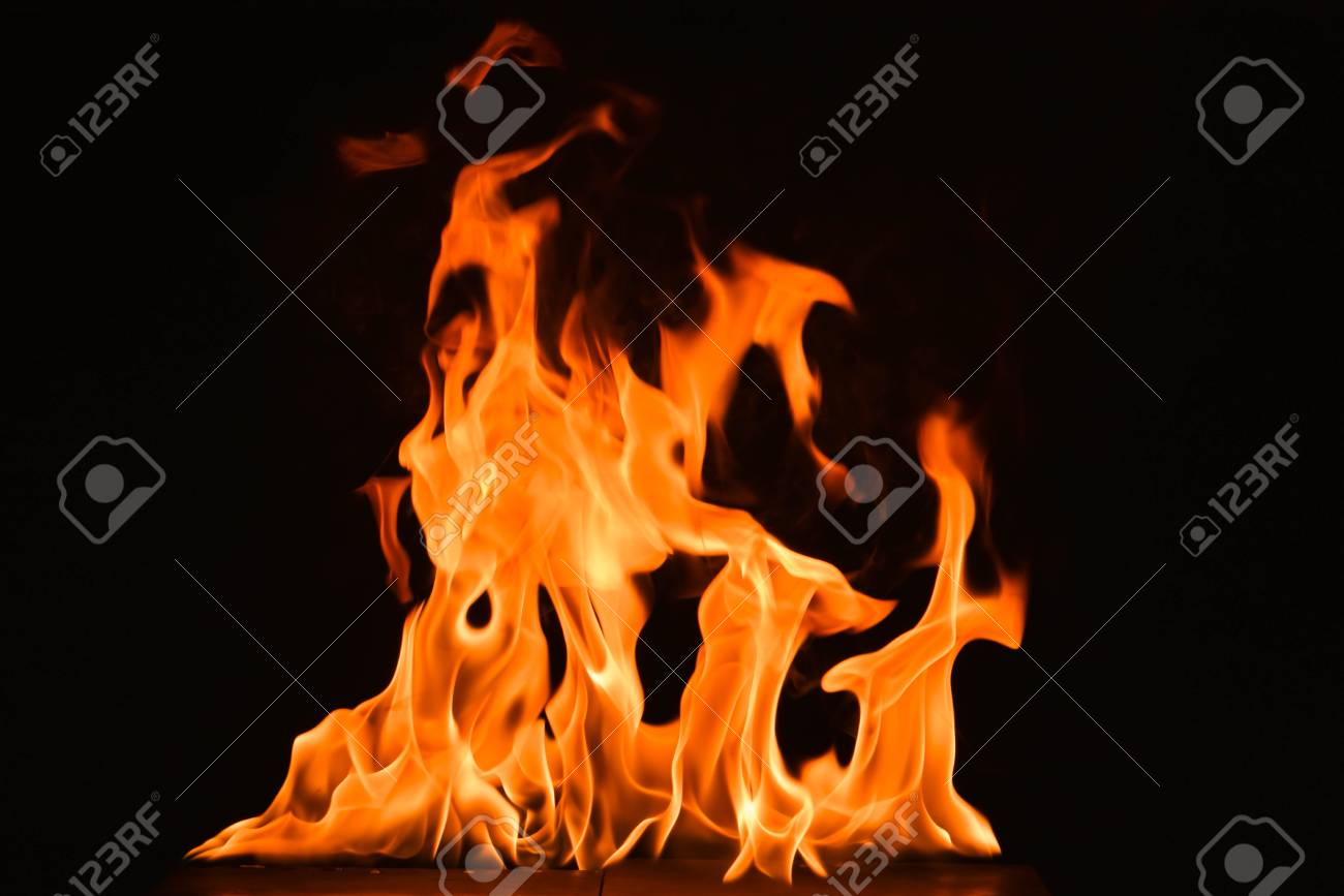 etiam-dictum-ipsum-a-felis