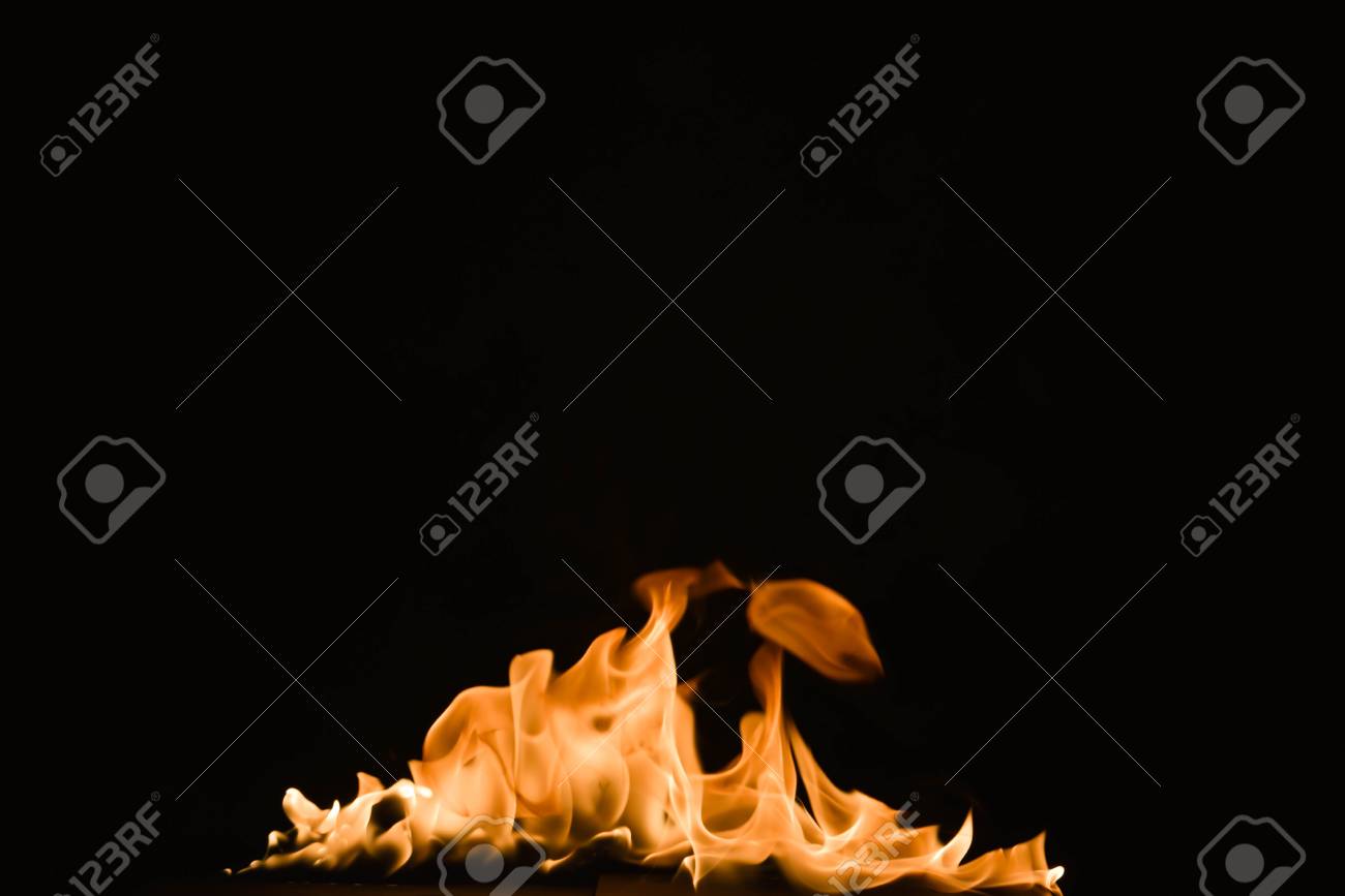 etiam-dictum-ipsum-a-felis