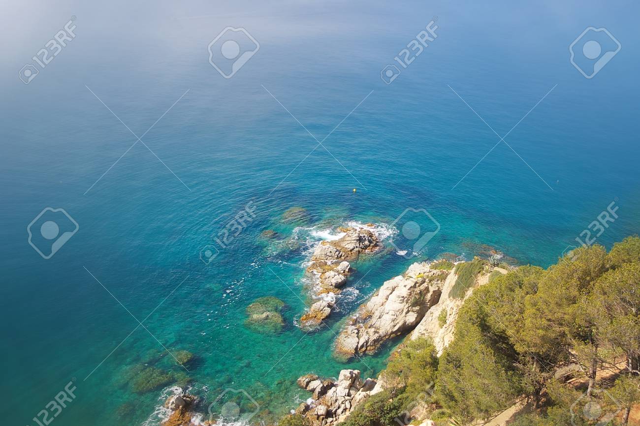 etiam-dictum-ipsum-a-felis