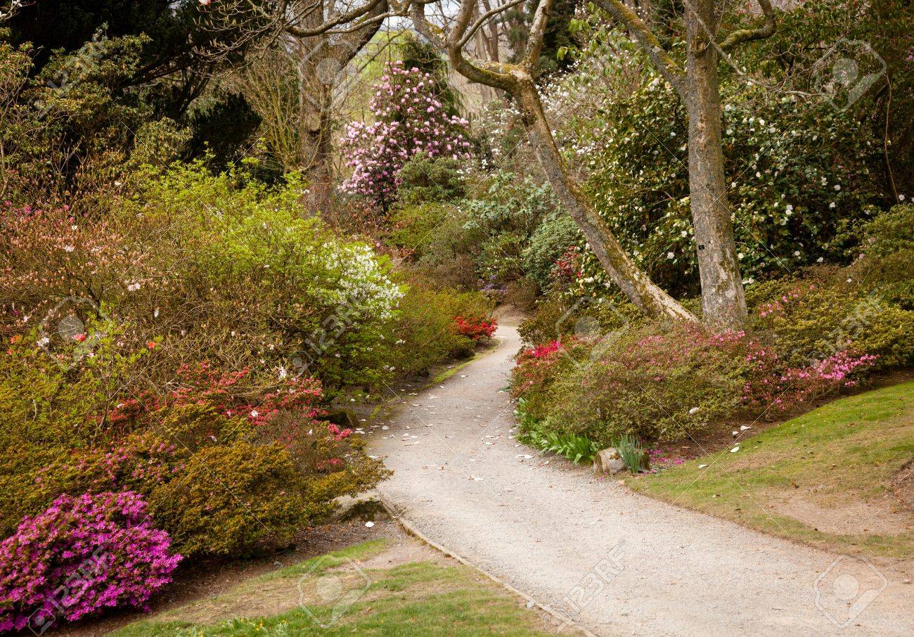 ツツジや花の茂みの植え込みに導く細道 の写真素材 画像素材 Image