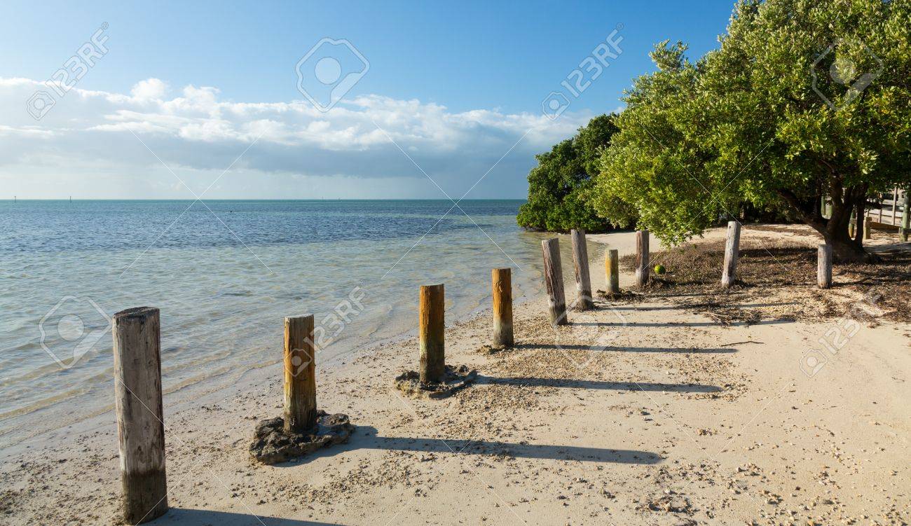 ルート 1 海外高速道路によってフロリダのキーの道端でアンのビーチ の写真素材 画像素材 Image