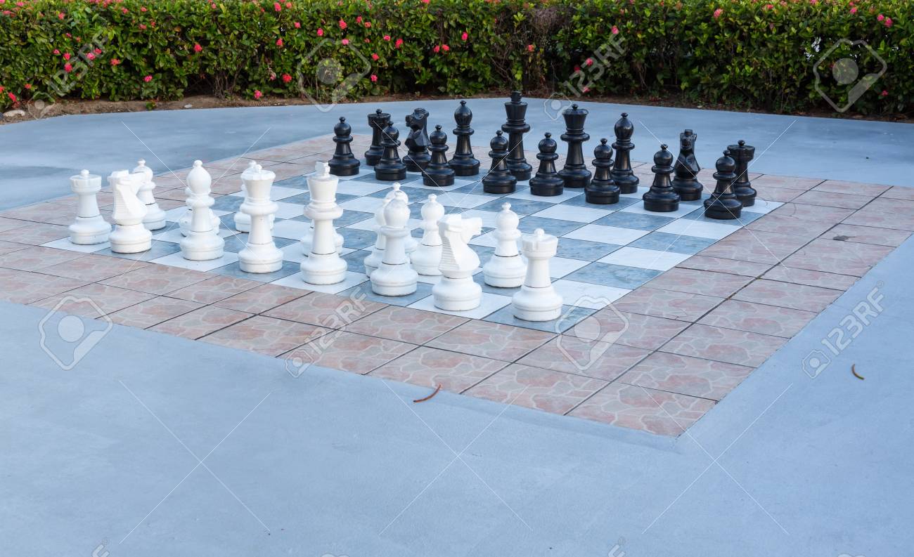 Grosse Weisse Und Schwarze Stucke In Schach Im Freien Im Blumengarten Gesetzt Lizenzfreie Fotos Bilder Und Stock Fotografie Image 18132781