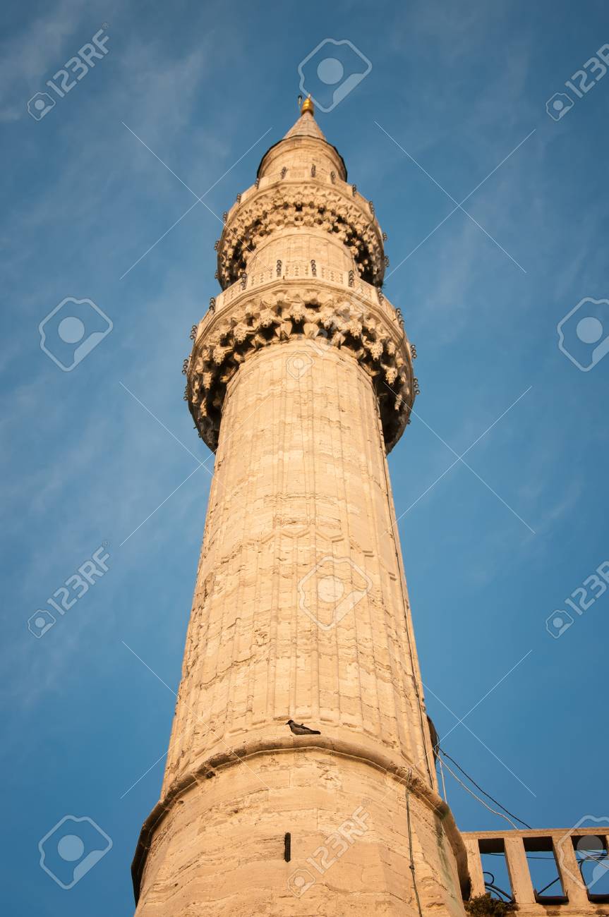 etiam-dictum-ipsum-a-felis