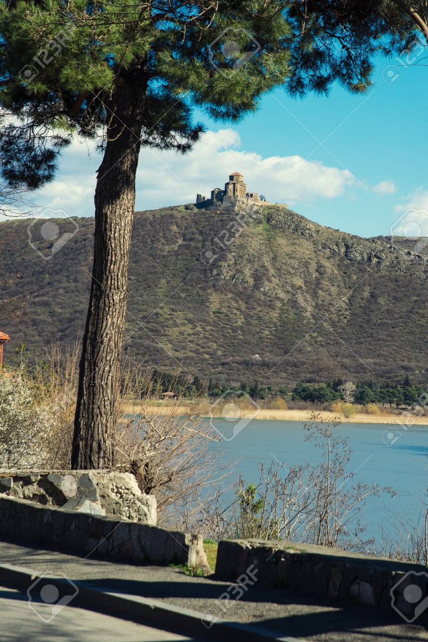 etiam-dictum-ipsum-a-felis