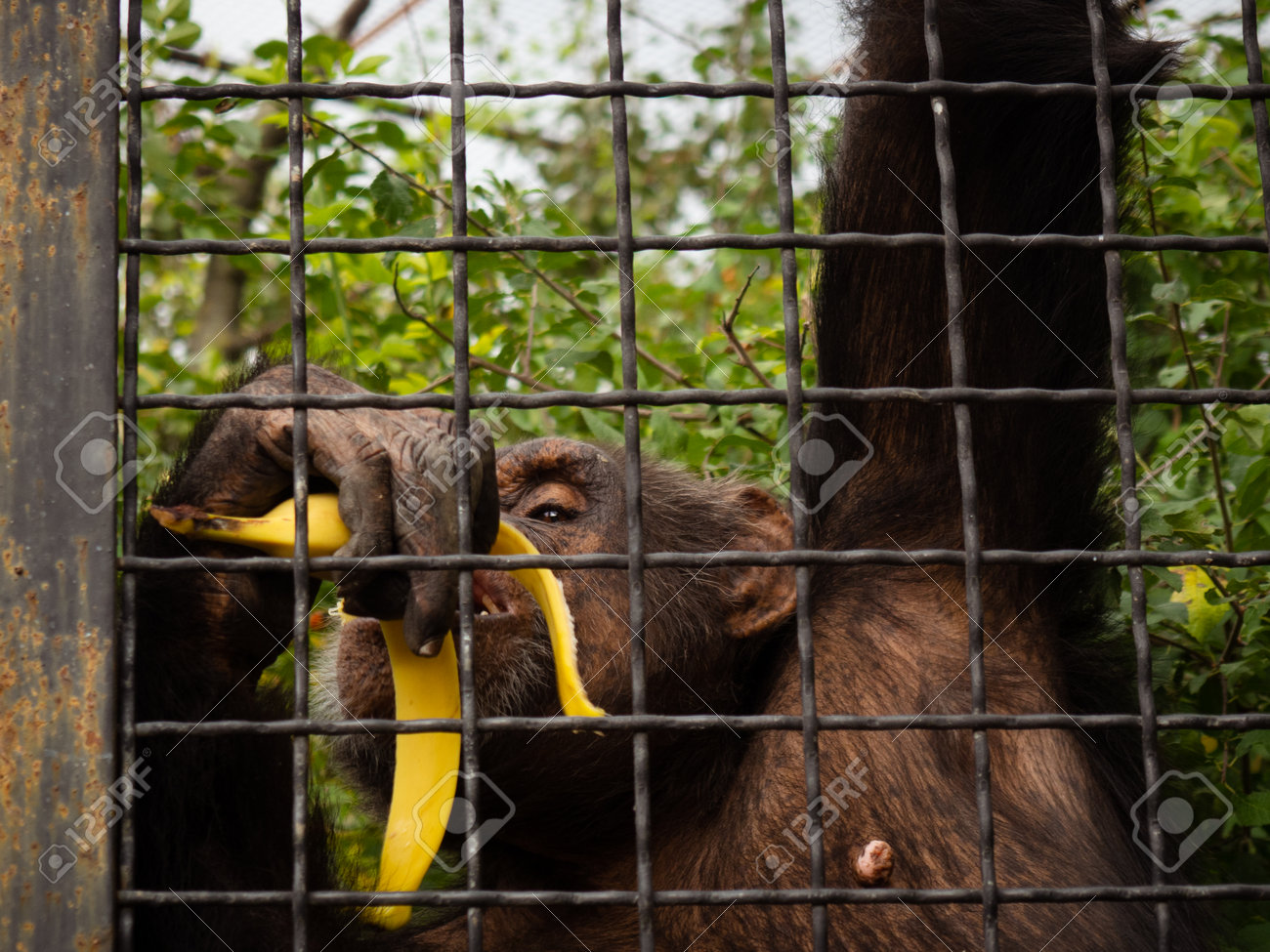 etiam-dictum-ipsum-a-felis