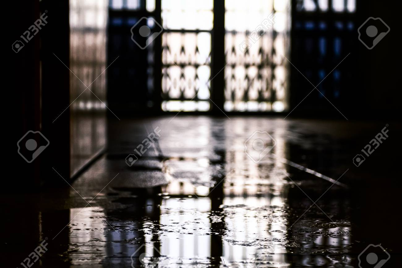 etiam-dictum-ipsum-a-felis