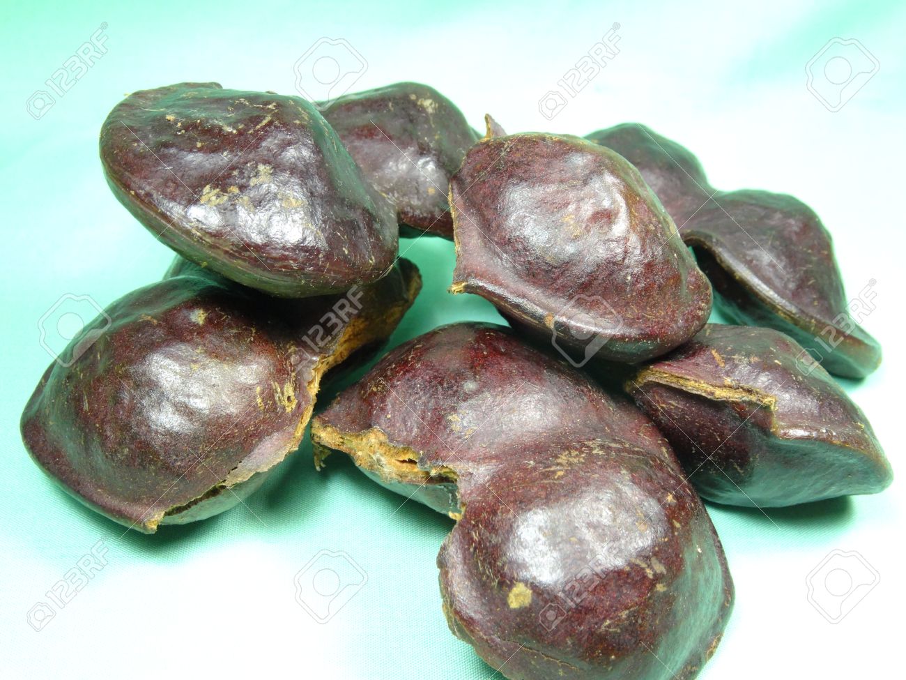 archidendron pauciflorum