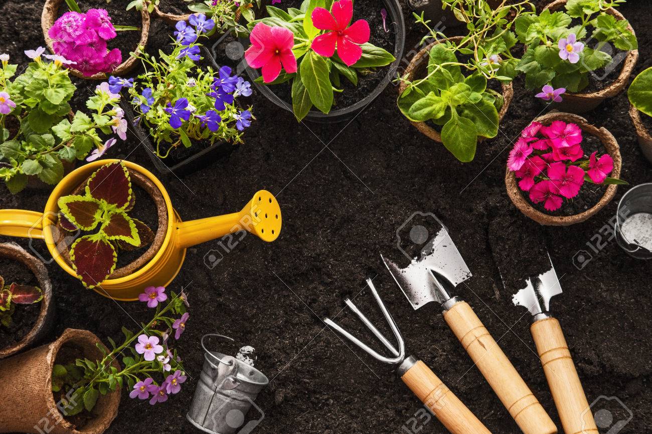 ガーデニング ツール 水まき缶 種子 花 土の庭の背景 の写真素材 画像素材 Image