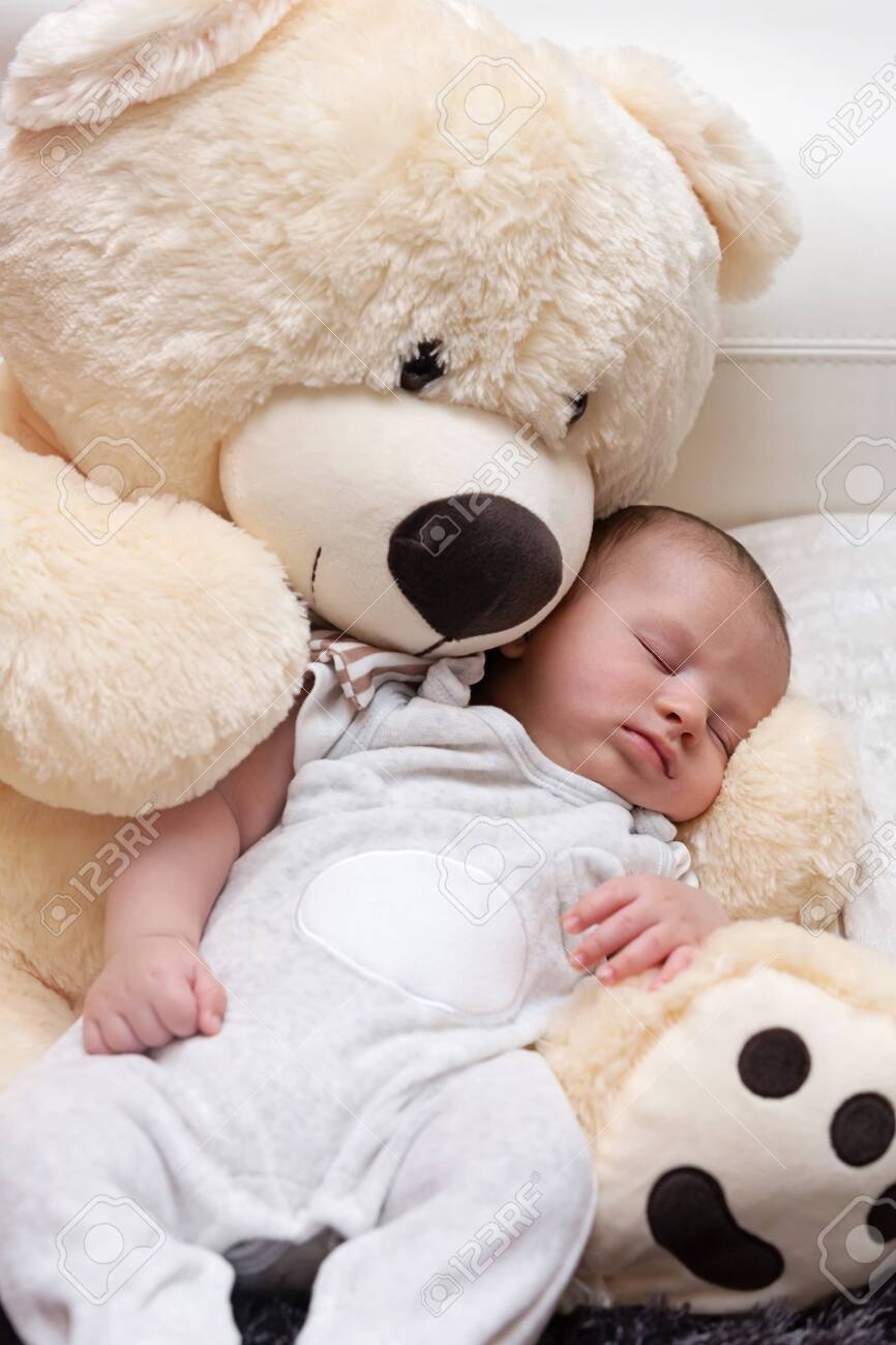 giant fluffy teddy bear
